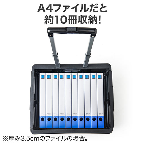 100-CART009_MO4X.jpg