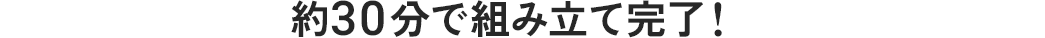 約30分で組み立て完了!