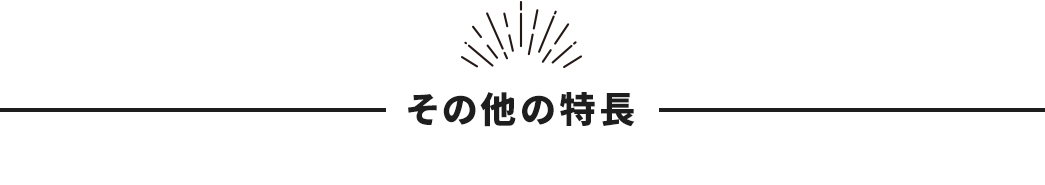 その他の特長