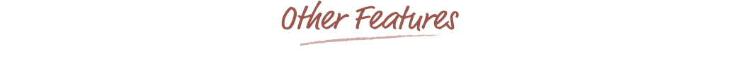 Other Features