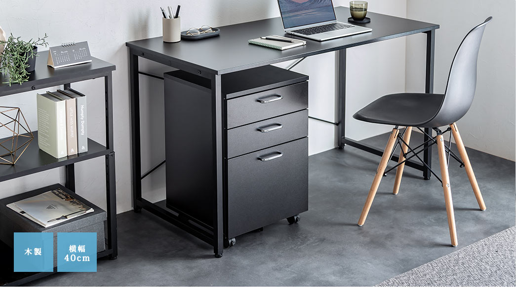 100-SNW017BKの画像