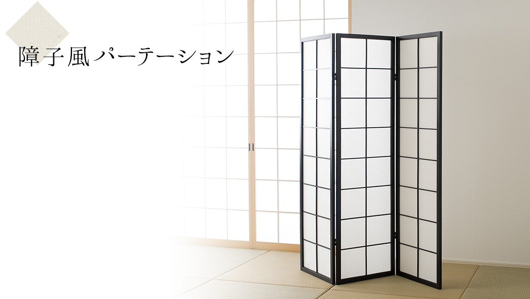100-SPT017の画像